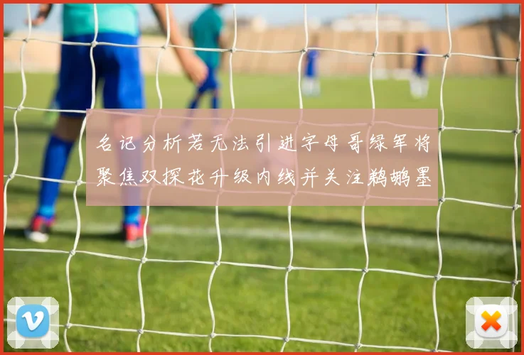 名记分析若无法引进字母哥绿军将聚焦双探花升级内线并关注鹈鹕墨菲