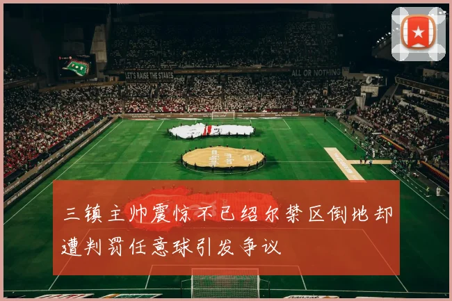 三镇主帅震惊不已绍尔禁区倒地却遭判罚任意球引发争议