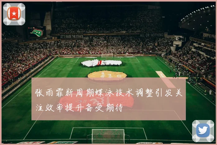 张雨霏新周期蝶泳技术调整引发关注效率提升备受期待